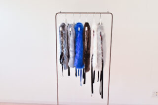 冬が始まるよ🎵気分アゲーなファーベスト